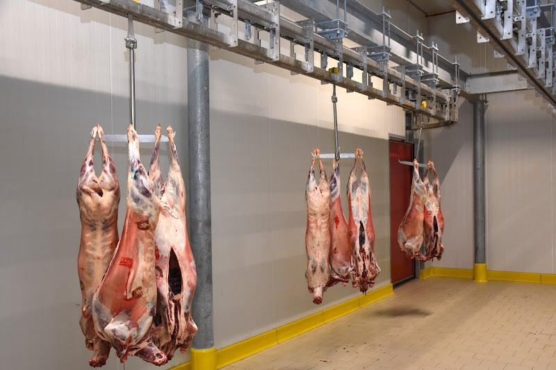 أمن فاس يتدخل بعد محاولة اعتداء بالسلاح الأبيض على طبيبة بيطرية داخل المجزرة البلدية