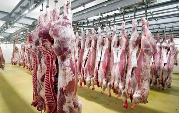 خفض الرسوم الجمركية يفتح الباب أمام استيراد اللحوم لتهدئة غلاء الأسعار